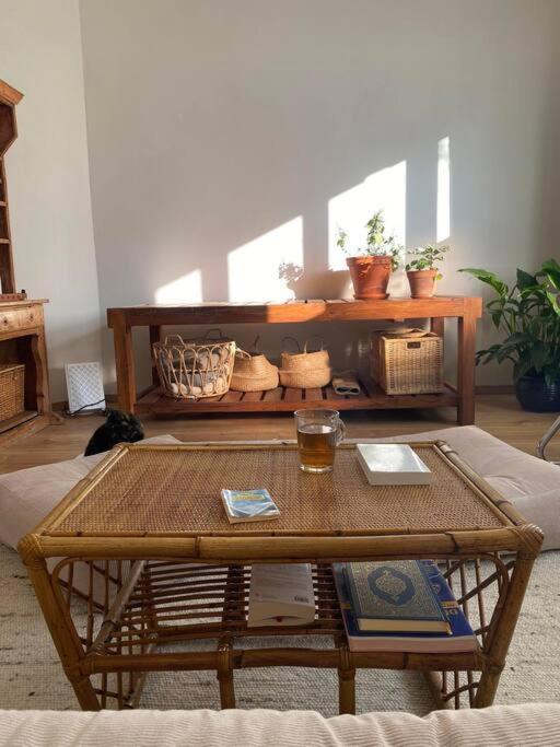 Superbe Avec Jardin, Sauna Et Jacuzzi Apartment Brussels