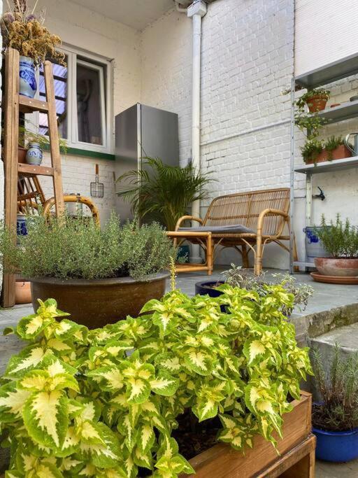 Appartamento Superbe Avec Jardin, Sauna Et Jacuzzi
