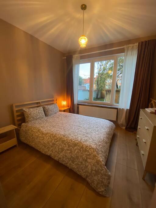 Superbe Avec Jardin, Sauna Et Jacuzzi Appartamento Bruxelles